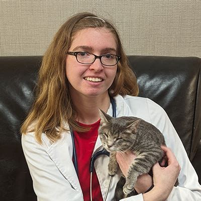 the village vet at sterling ridge|feline vets only.